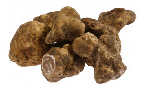 Alba White Italian Truffle,(Magnatum Pico), Fresh